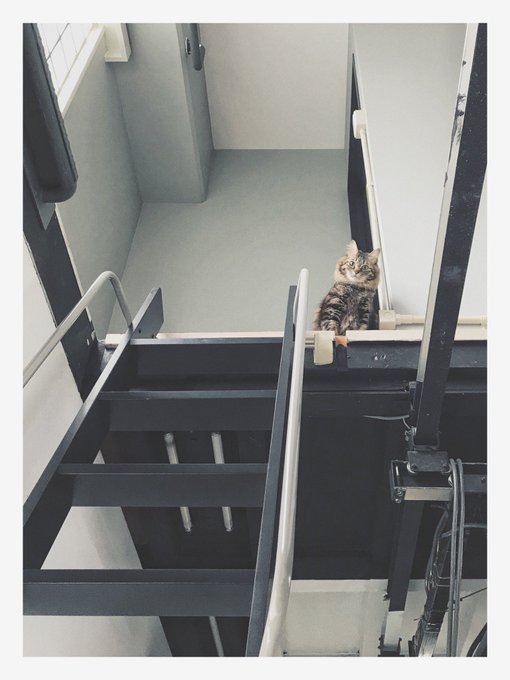 Twitterのコスプレ画像49