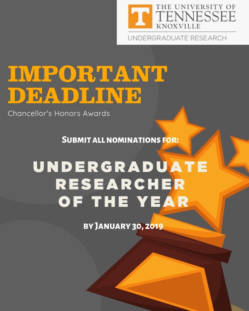 Utk Undergraduate Research On Twitter Attn Don T Forget To