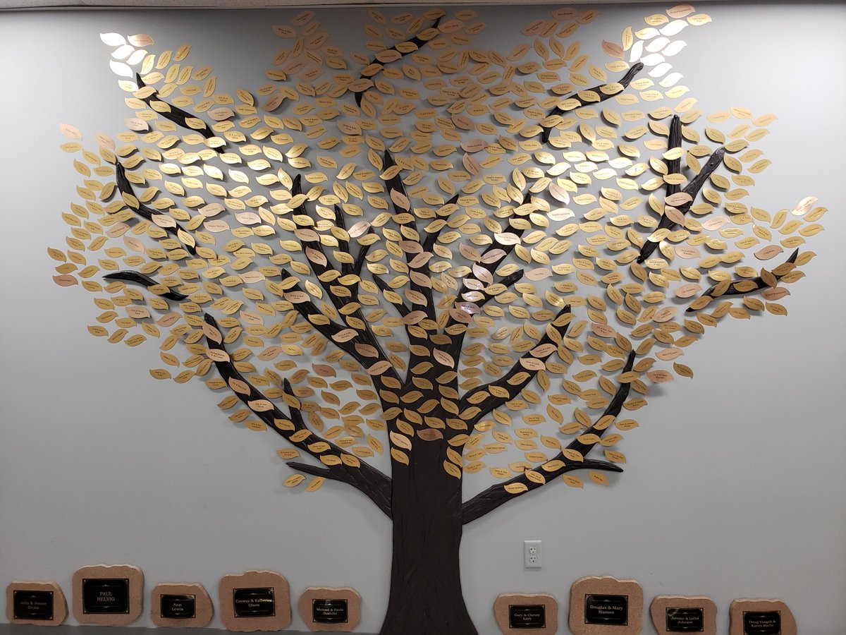 #It may be snowy and freezing outside, but inside FIN, OUR DONOR TREE IS  FLOURISHING!  We just added 232 leaves representing donations over $100 from  individuals for 2018.  We really appreciate all of you who help FIN feed the hungry in our community!