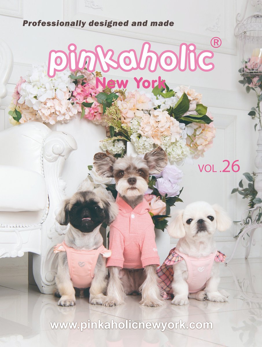 puppiaUS's tweet photo. The theme for the Pinkaholic New York this upcoming 2019 SS will be 'Playground'!! New products information will be released on https://t.co/z5oHl8ut0B  on first week of February and the products will be available on the first week of March. https://t.co/N3tZ7hvagX
