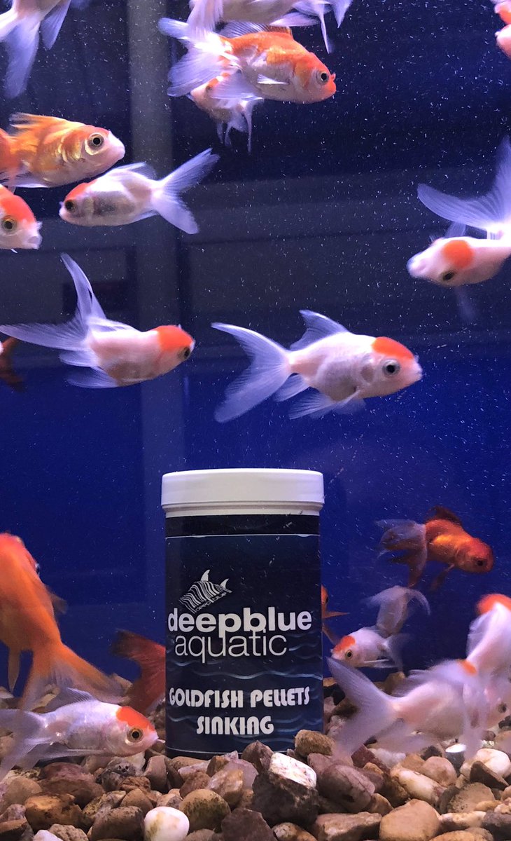 deepblueaquatic's tweet photo. Tried our foods yet?
#fishshop #marinefish #TMC #deepblueaquatic #hemelhempstead #hemel #tropicalfish #fishtank #picoftheday #aquarium #coral #marinefish #fishtank #mickstudiomix #goldfish https://t.co/k5f8E7HYrw