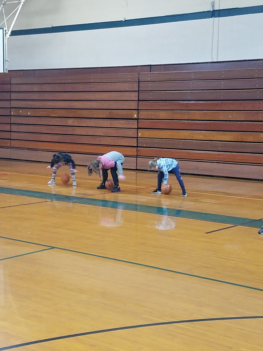 brianblum_'s tweet image. Future Men&apos;s and Lady Varsity Viking Basketball players learning the basics of dribbling with Mrs. Brechbill #NRVikings