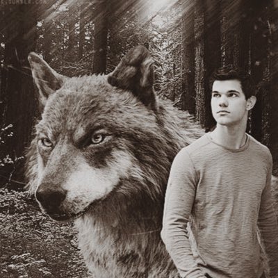 SpiritWolfJake's tweet photo. #NewProfilePic https://t.co/4IJT6BcNhV