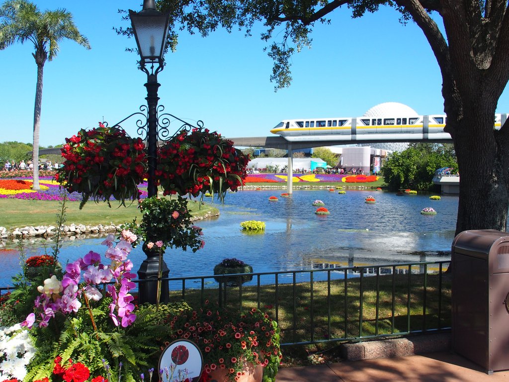 Is Monorail Monday still a thing?? 🚝🌺☀️🌐
·
·
#Disney #Disneyworld #vacation #wdw #waltdisneyworld #monorailmonday #epcot #beautifulday #throwback