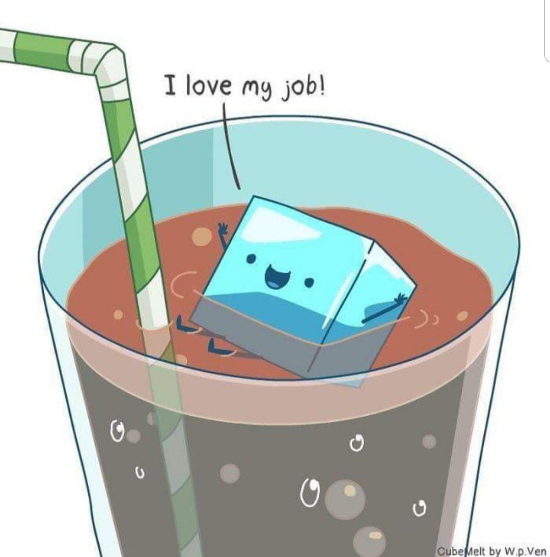 Vera Cires tweet media