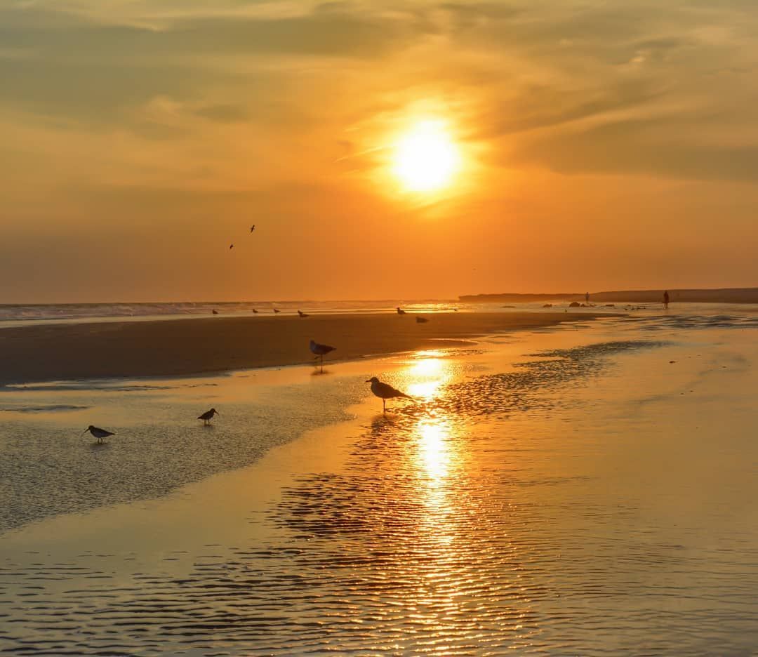 Stepz App tweet media