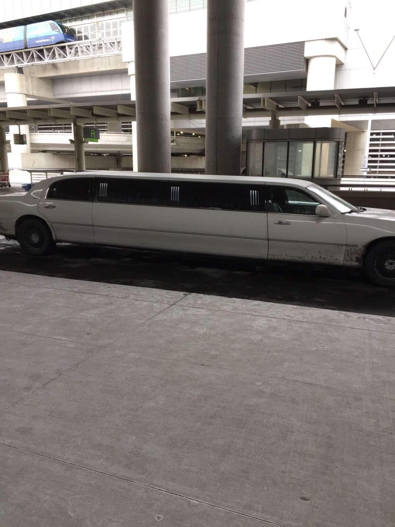 Team Steep Curling tweet media