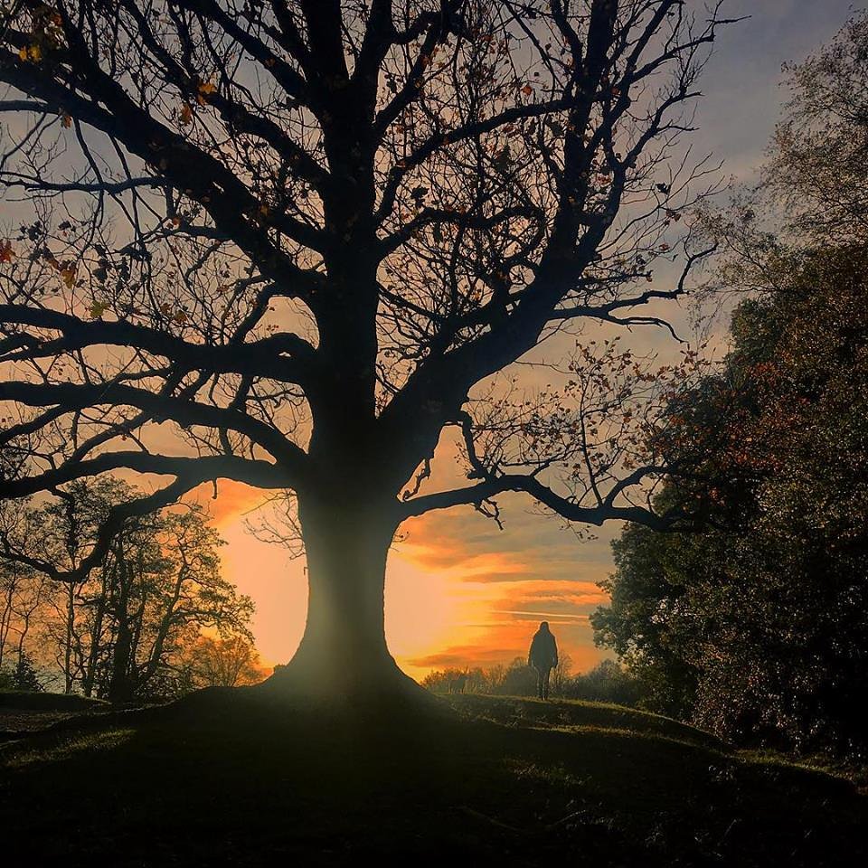 Congratulations to Jon Elstar as the latest winner of our #MyHampsteadHeath Instagram competition. This wonderfully evocative photograph is entitled 'Homeward Bound' and should be featuring within the next edition of our members' newsletter #HampsteadHeath #Hampstead #NW3 #London