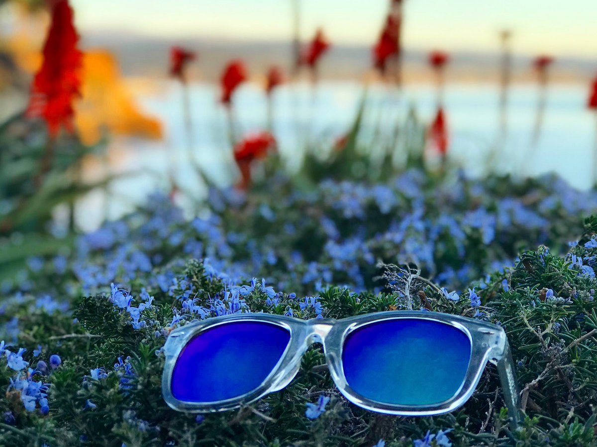 SCRoundnet's tweet image. Stayin’ cool with #TheNatties patented #bottleopening #sunglasses thanks to our proud sponsor @CheersSunglass! Use promo code “SCRoundnet” at checkout for 50% off! cheerssunglasses.com
#Spikeball #SantaCruzRoundnet #Roundnet #JoinTheMovement #CheersSunglasses #DrinkInTheSun