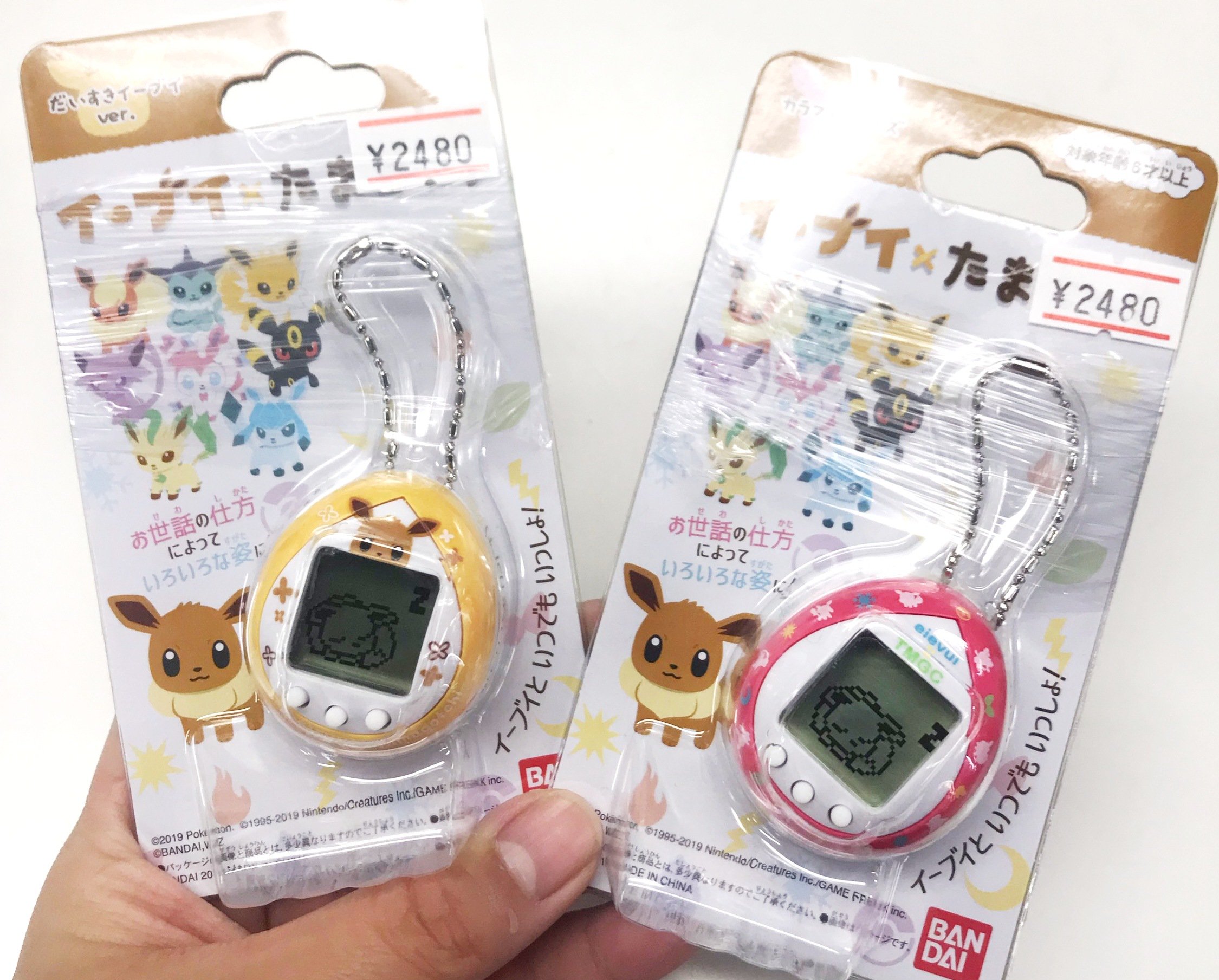 レプトン レプトン123海田店 イーブイ たまごっち 限定入荷 お世話の条件によって イーブイが進化します サンダース エーフィ グレイシア ニンフィア等の進化系の他にも オリジナルの姿になることもあるらしいです たまごっち イーブイ