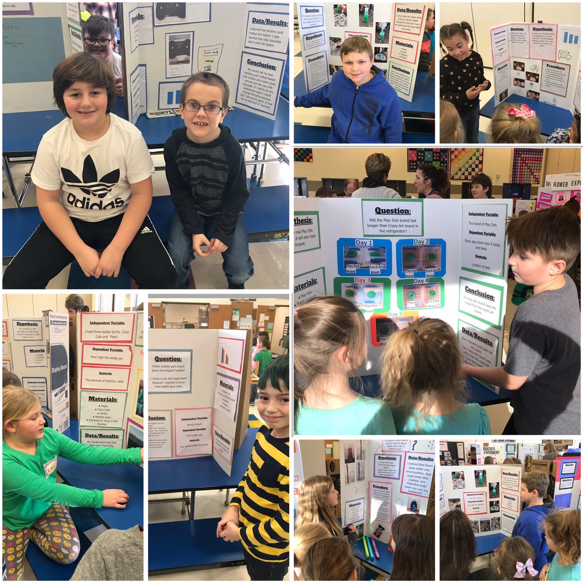 MrsStubanas's tweet photo. Science fair success! @FawnArea #SESDProud https://t.co/PNgQ2qgQy4