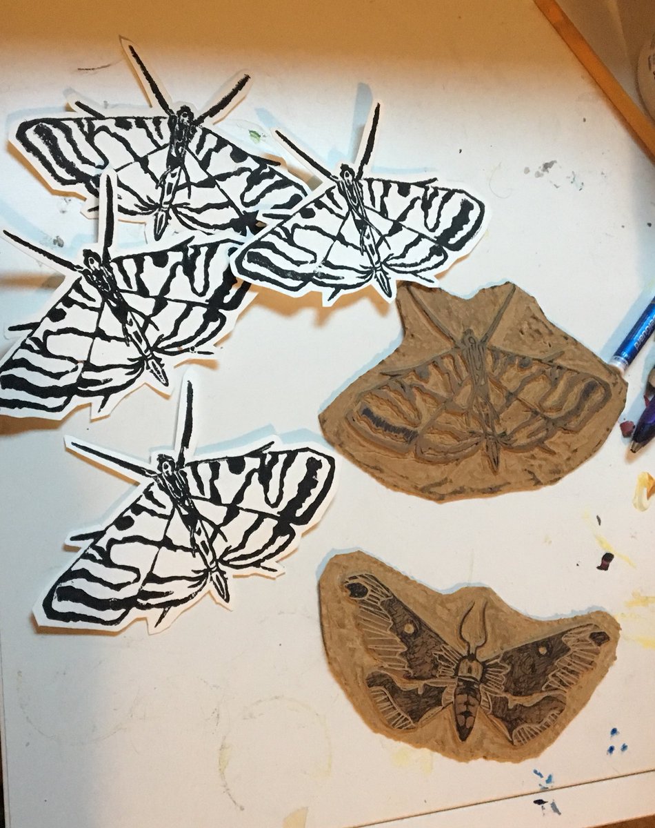 tanjembike's tweet photo. moffs π¦ #mothmigrationproject #printmaking https://t.co/6hDBcbdhhU