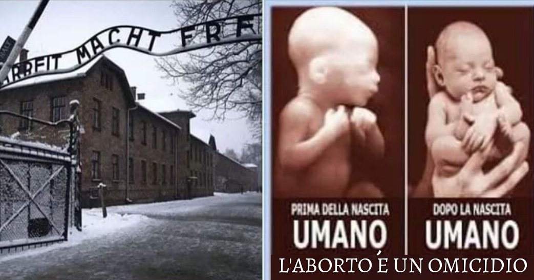 22berry22's tweet photo. Ricordare il passato per non commettere gli stessi errori in futuro.
E se il futuro fosse oggi?
Nel 2017 solo in Veneto ci sono stati 4752 aborti.
#pensaci #GiornoDellaMemoria
#iostoconMattia

@LiFE_Novara @veronasera @telearenatv @larenait @VeronaFedele @VigevanoeVita https://t.co/6lD5vptpqv