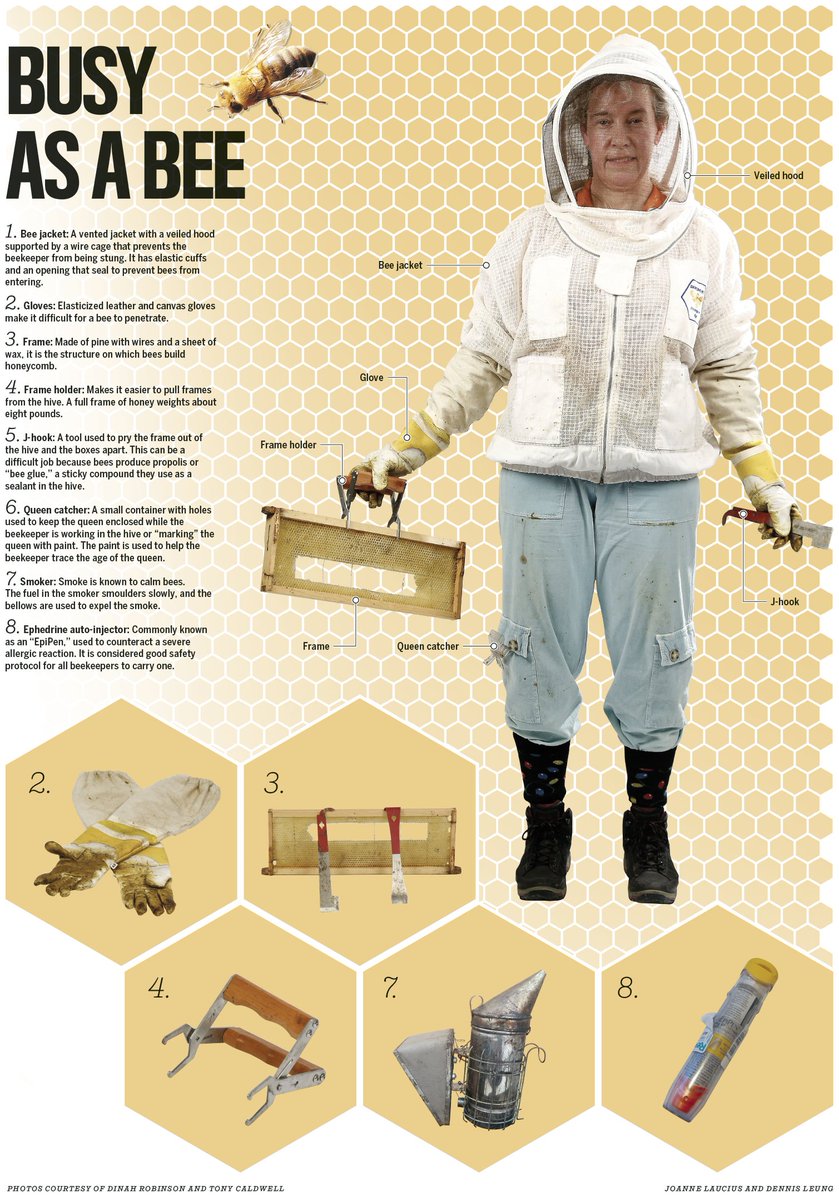 Busy as a bee
bit.ly/2DE7h3N
#ottnews #newsgraphics #ottawa <a href="/OttawaCitizen/">Ottawa Citizen</a>