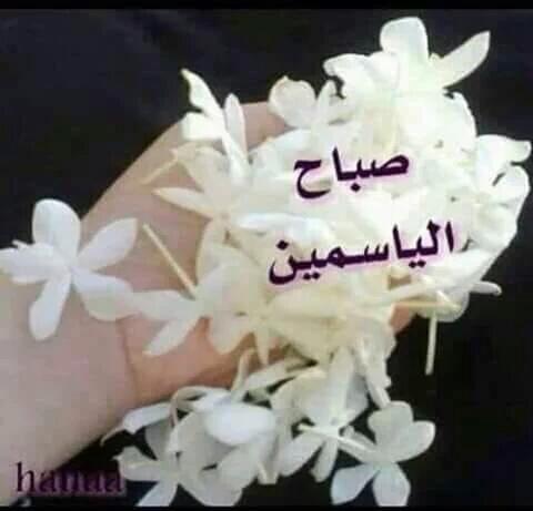 ALiv7tETFis's tweet photo. @fatmasaeed063 مرسي لذوقك الأنيق https://t.co/S4XjeQ8B3k