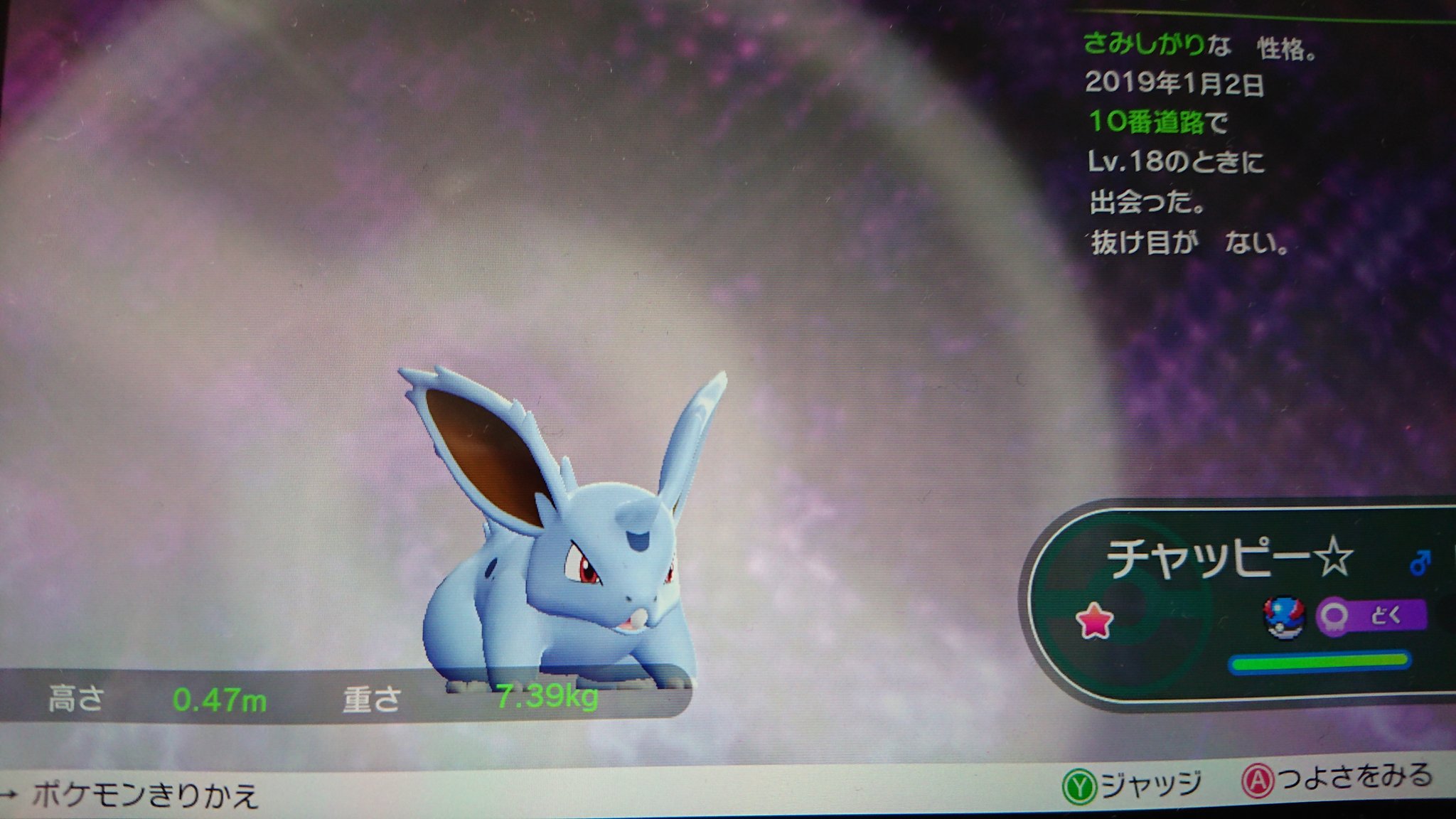 טוויטר 公式 ポケモン情報局 בטוויטר 新しく選べるようになった女の子の主人公 カントー地方に加え ナナシマ も冒険の舞台に たんじょうのしま で出会うデオキシス ポケモンコロシアムとの連動 などなど みなさんの思い出 ぜひリプライで教えて