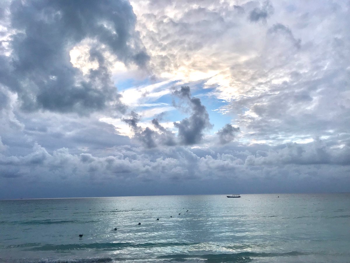 Dan Ashbach tweet media