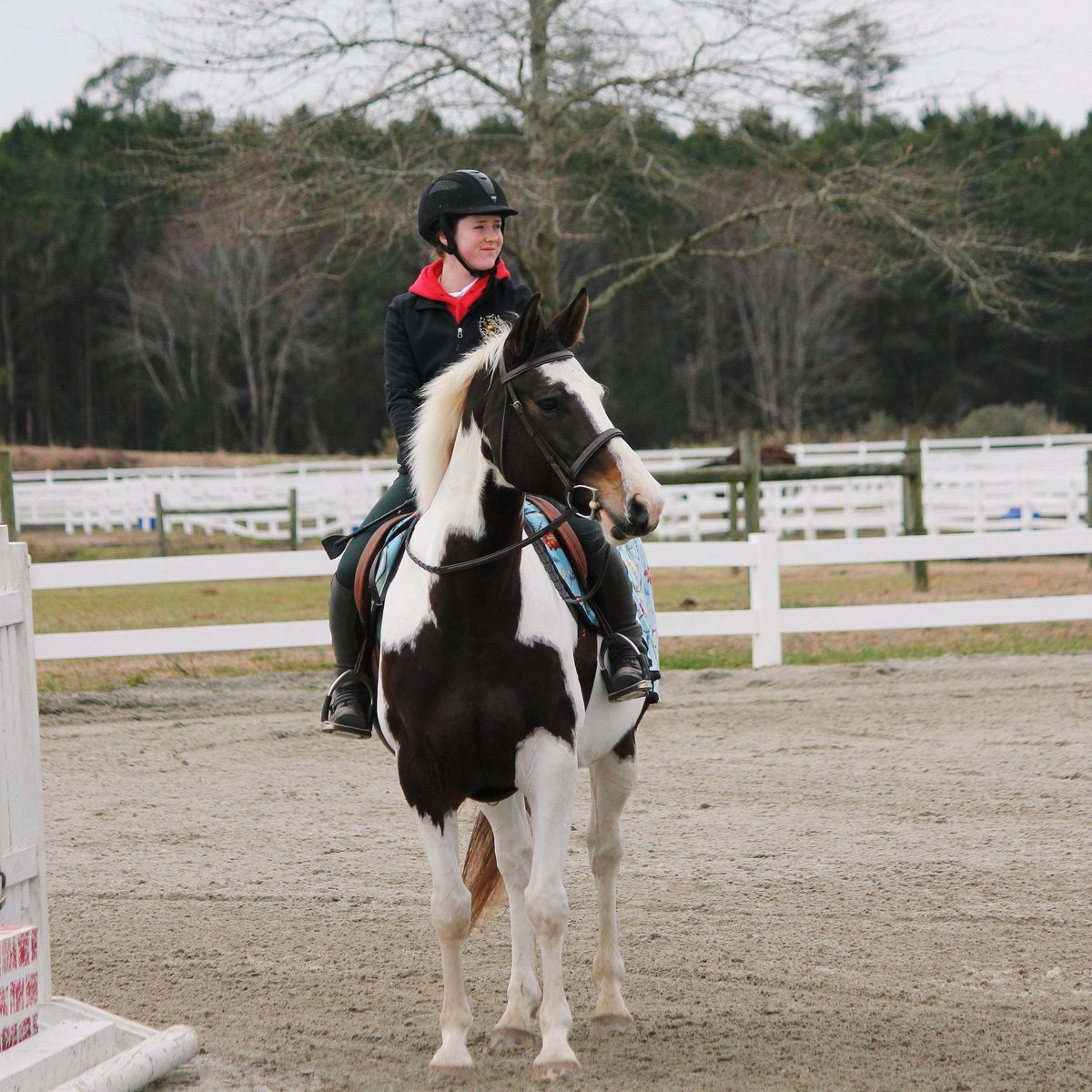 patternedponyeq's tweet image. Love this mare❤