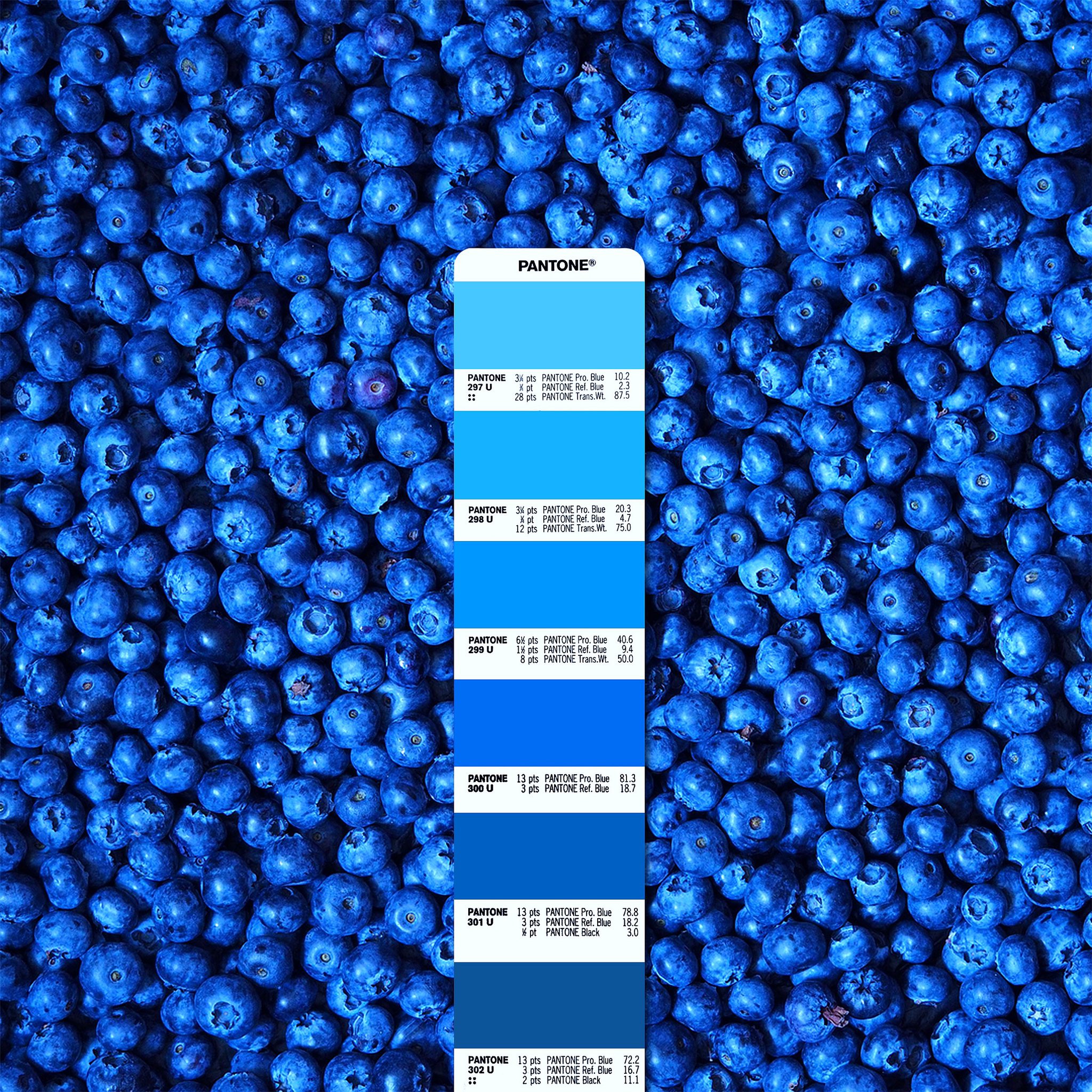 Цвет 298. Цвет 298. Глубокий фиолетовый. Цвет 298. Цвет 298.