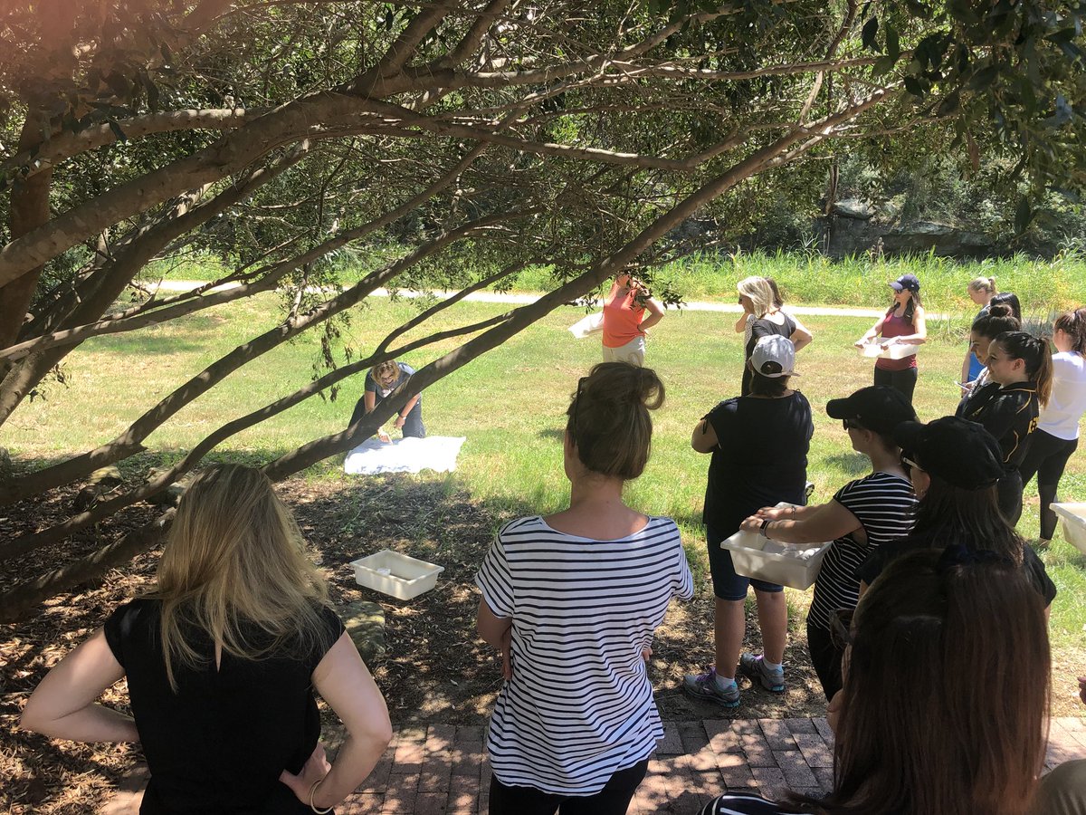 k_verinder's tweet photo. Learning in our local environment at the Field of Mars.... whole staff engaging in practical, real world learning experiences to gain a deep understanding of the new Science Syllabus! Fantastic day! Thanks Steve, Emily and Sophie! @steve_papp https://t.co/6u4C3IIx2A