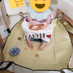 ダイソーの園芸シートが優秀!離乳食の時はこんな風に使ってみてw