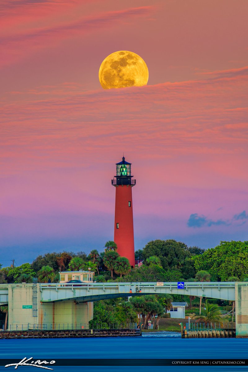 Captain Kimo tweet media