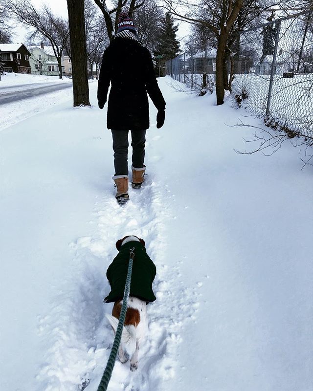 BarthDoesThings's tweet photo. A big snow and a wimpy dog have inspired @athorfy to do what I call the Neighbors Didn’t Shovel Shuffle. #breakingtrail #instapollo https://t.co/Lirteydw0K https://t.co/lkU1e3ukFW
