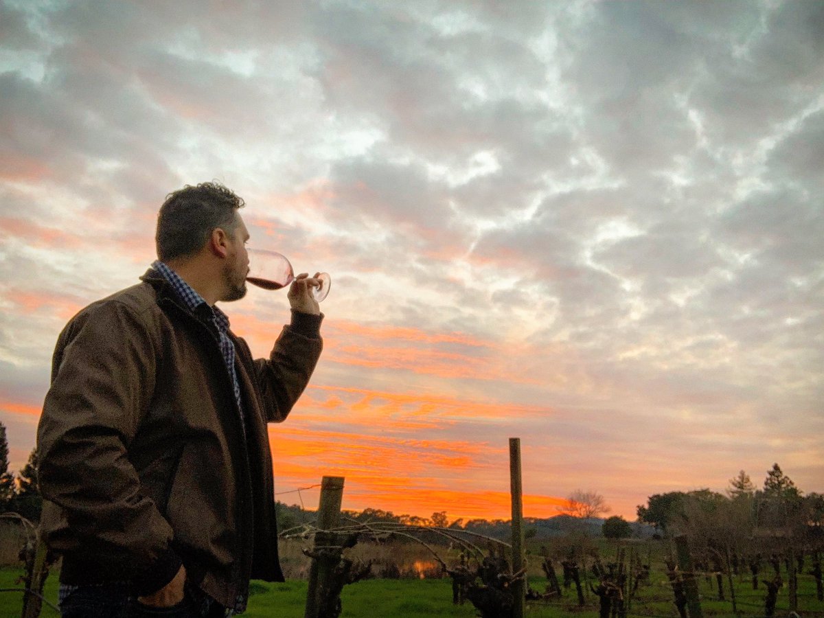 Sunset in the vineyard at <a href="/truchard/">Truchard Vineyards</a>. 🍷 Hey <a href="/calvinklein/">calvinklein</a>, I think I make your jacket look mighty fine out here, sponsor your boy! 😂 #Carneros #NapaValley #TruchardVineyards #TruchardTrue #CalvinKleinModel #Possibly #DoesntHurtToAsk
