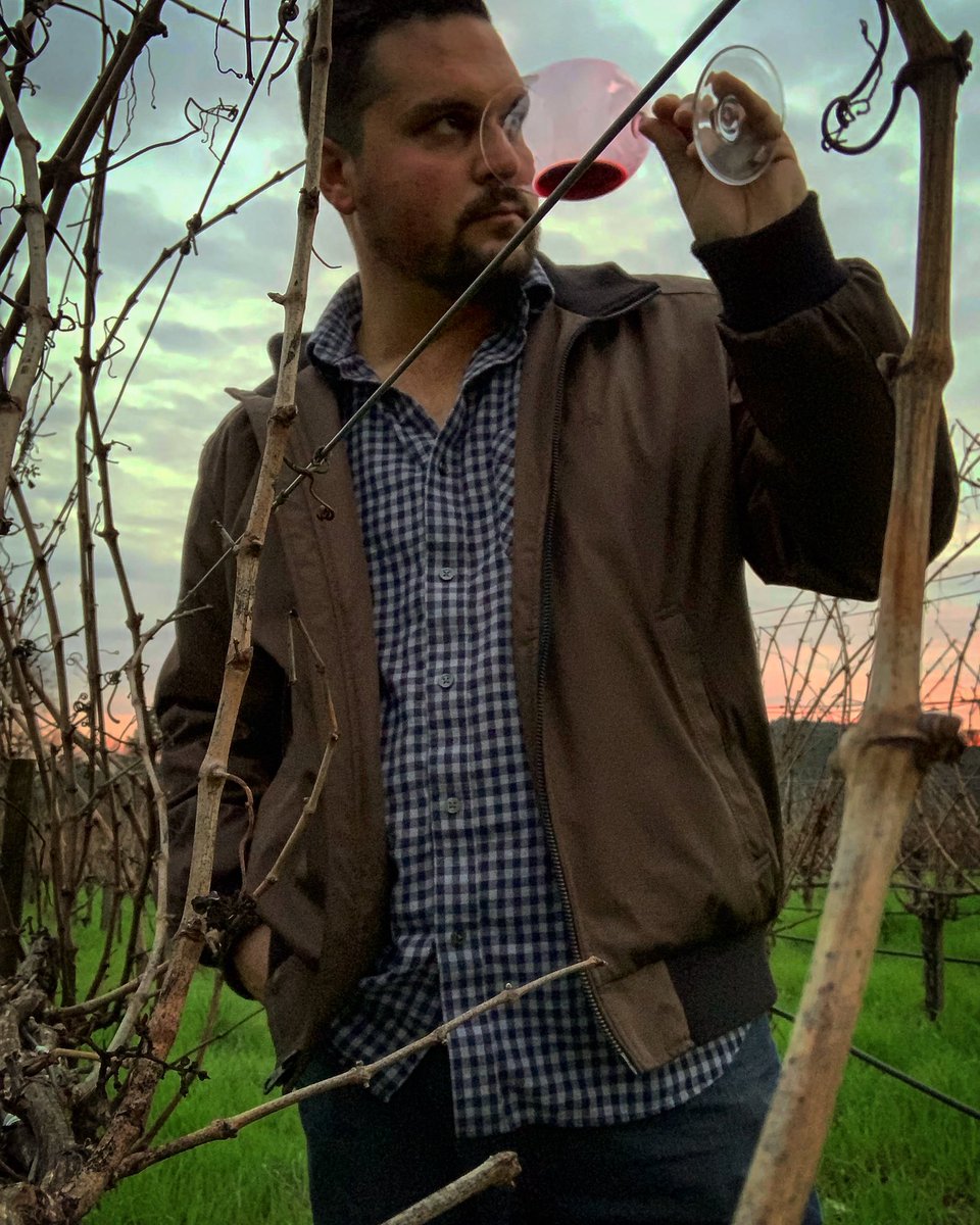 TheWineMaverick's tweet photo. Sunset in the vineyard at @truchard. 🍷 Hey @calvinklein, I think I make your jacket look mighty fine out here, sponsor your boy! 😂 #Carneros #NapaValley #TruchardVineyards #TruchardTrue #CalvinKleinModel #Possibly #DoesntHurtToAsk https://t.co/5fD6zxMrBq