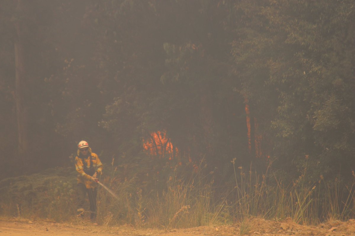 rhianawhitson's tweet photo. We’re with @TasFireService just off Arve Road about 15km from the Tahune Airwalk - which has sadly been destroyed by fire. Fire crews are trying to stop the blaze jumping this road and heading down to Costains Rd Geeveston. #tasfires @abchobart https://t.co/J2igBt6JqB
