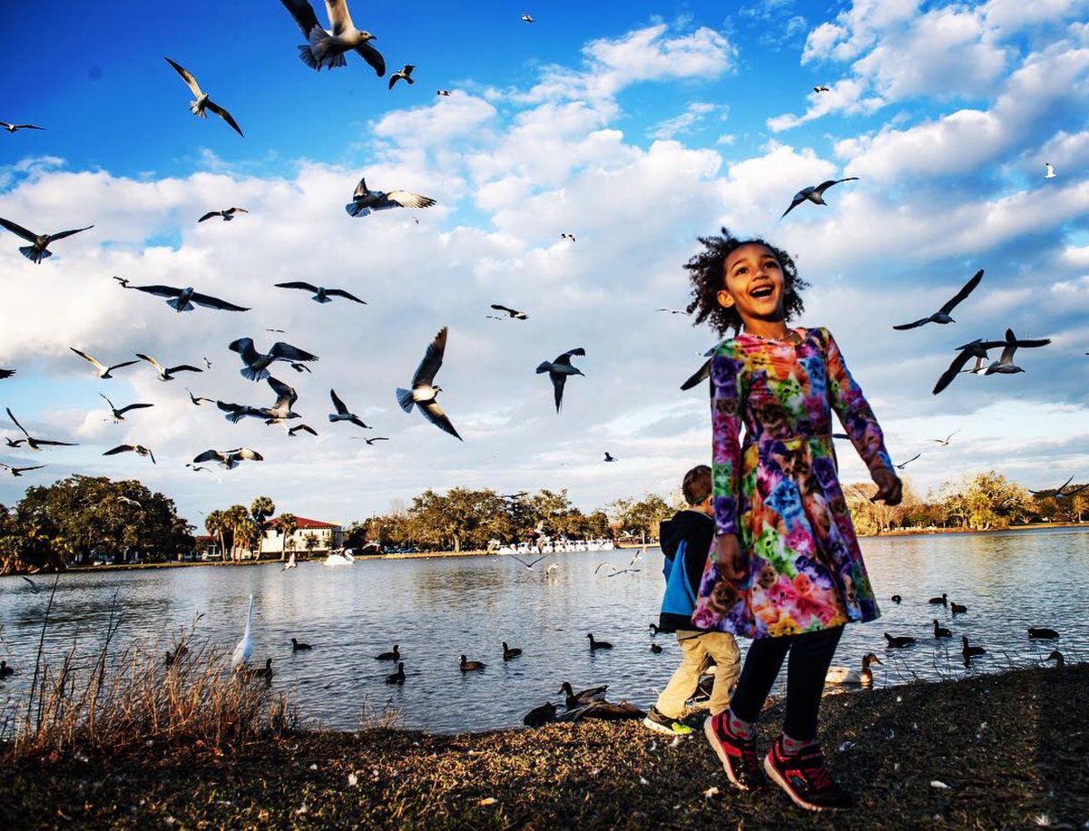 New Orleans City Park tweet media