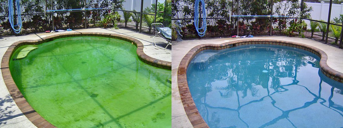 wiredco_'s tweet photo. Dealing with a green pool this summer? ๐คข
Get it fixed with our client @PooledEnergy and join the hundreds of Australians saving money and the planet! ๐๐ #pooledenergy https://t.co/tQ4FTyJNLe