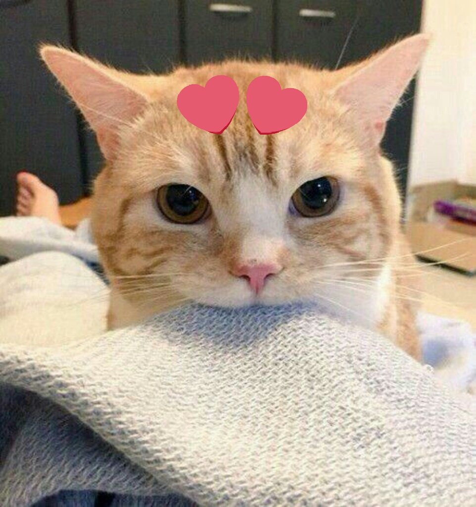 sphoseok's tweet photo. @spyoongi_ https://t.co/r4go6CFuvX