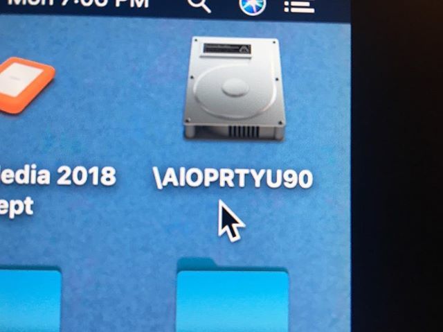 #cats bit.ly/2Sep6ye