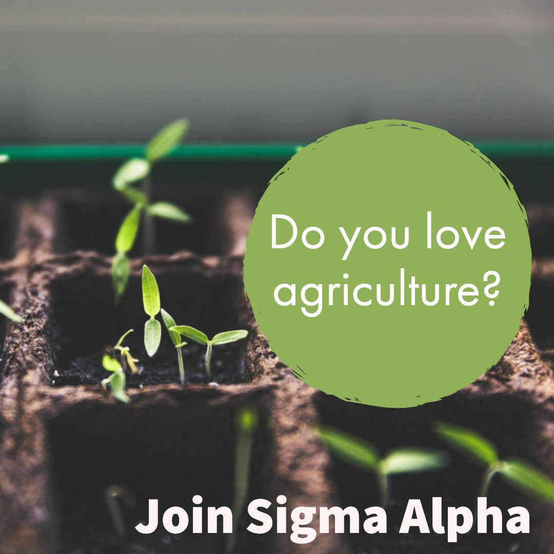 ksusigmaalpha's tweet photo. Do you have a passion for agriculture and attend Kansas State University? Come join the Sigma Alpha the agriculture sorority.

Join us for our information meeting February 4, 6 p.m. in Throckmorton 1018 to learn more about Sigma Alpha. https://t.co/nYYtL38Ov1