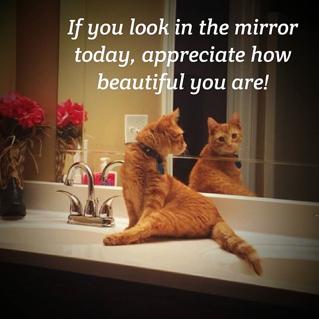 noliamabel's tweet photo. You ARE Beautiful!! #beauty #skincare #organic #allnatural #organicskincare #selfcare #loveyourself #love #skincaregoals #facemask #health #catsofinstagram #happy #instadaily #picoftheday #followme #beautiful https://t.co/vcBGob8W94