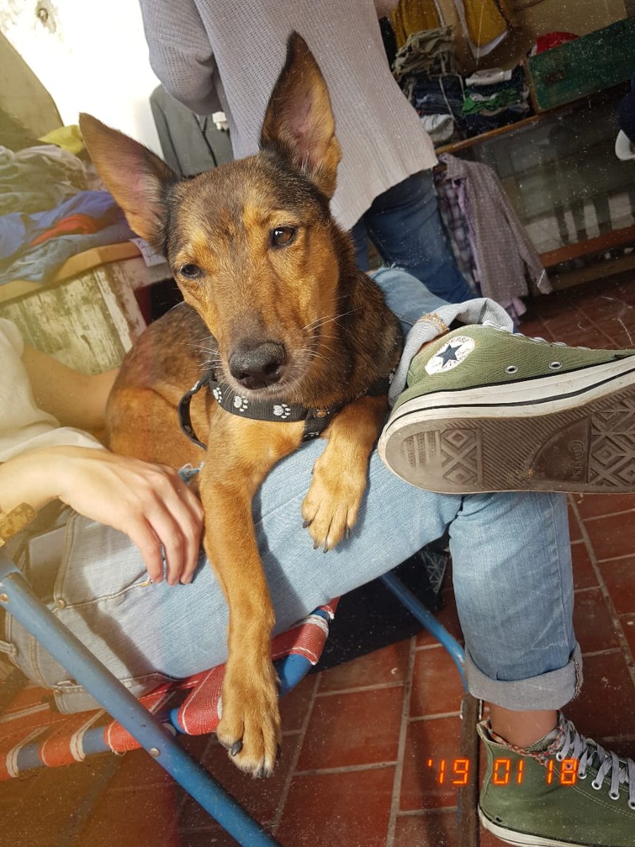 Mil0kaaa's tweet photo. ¿Cómo no me iba a enamorar de vos?😍♥ https://t.co/9CK7sEJv8V