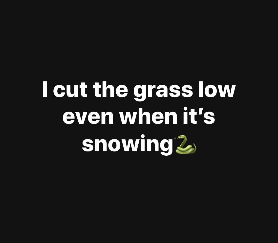 ScottyRoc's tweet photo. https://t.co/JEhuP2APIb