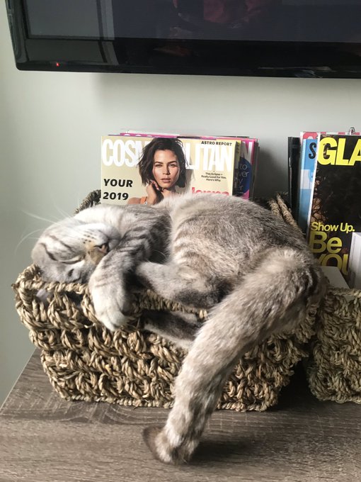 I wanna be this content. Thanks. https://t.co/uPGzpOcqAk<a href="/tag/tinder"class="tags"><span>#tinder</span></a>