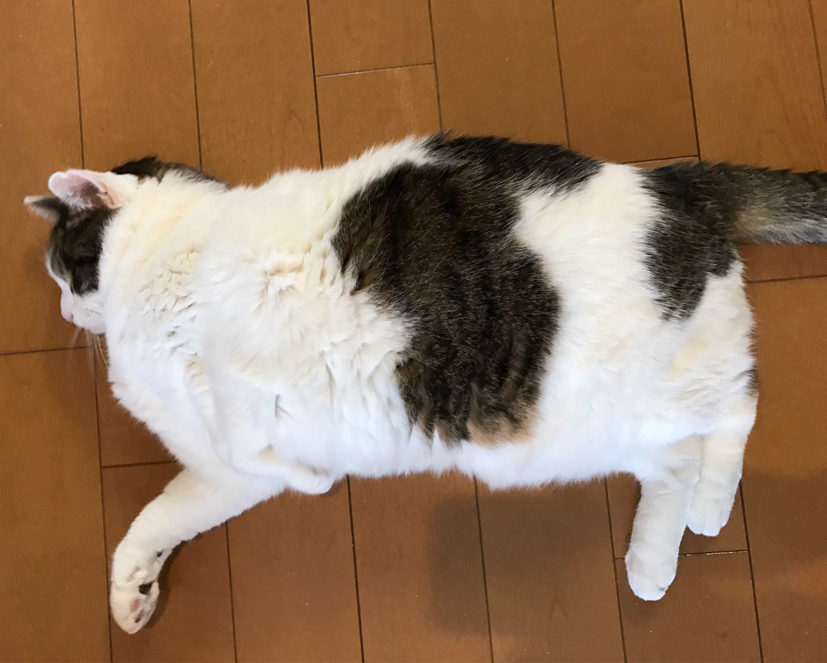 [圖]