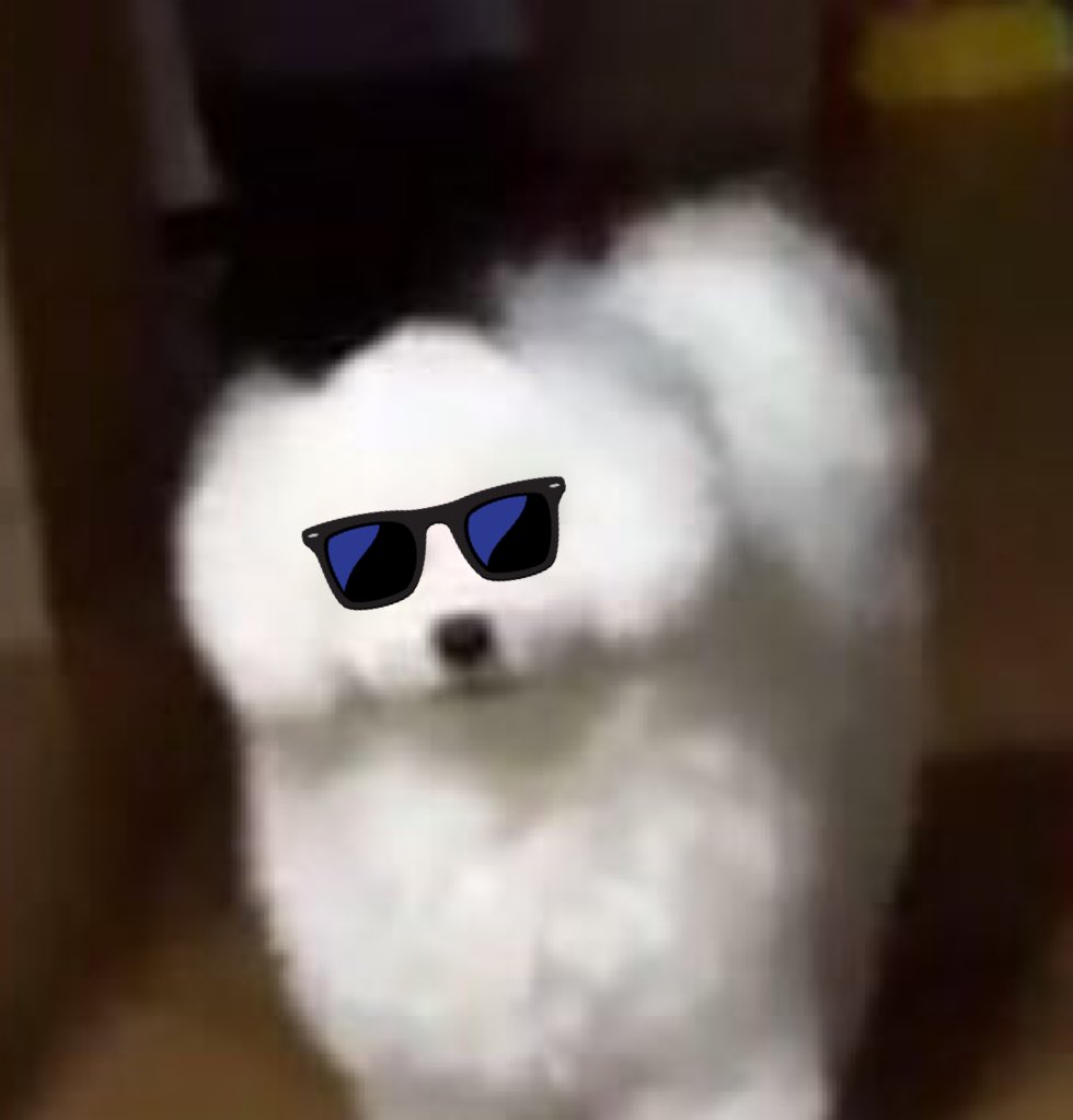 태라 (@teraabite) on Twitter photo 