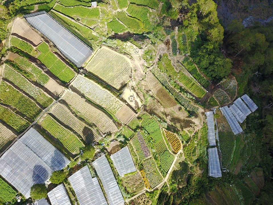 PIA_Cordillera's tweet photo. With the dropping of temperature in the Cordillera, check out how farmers in Atok, Benguet cope up with “andap” or frost.
Details at: https://t.co/mVJYpW6yFE
#EmpoweringCommunities | #andap https://t.co/CVUXzrnEuI