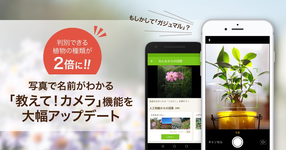 ট ইট র Greensnap Greensnapの大人気機能 教えて カメラ がバージョンアップ O 植物の名前 を教えてくれる人工知能の判別種類は 2倍 に 判定方法も変わったのでさらに使いやすくなりました 是非ダウンロードして試してみてくださいね T ট ইট র Greensnap Greensnapの大人気機能 教えて カメラ がバージョンアップ O 植物の名前 を教えてくれる人工知能の判別種類は 2倍 に 判定方法も変わったのでさらに使いやすくなりました 是非ダウンロードして試してみてくださいね T
