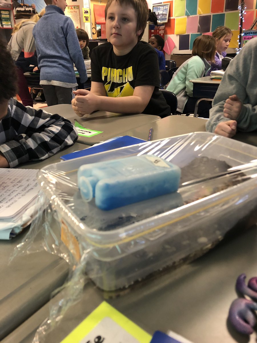 Jennifer O'Connell tweet media