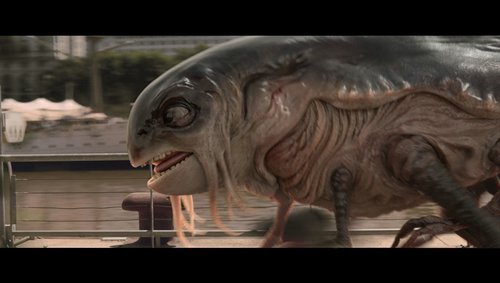 Macgregor tweet media