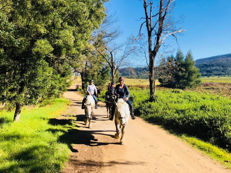 TsitsikammaLangkloof tweet media