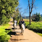 Photo by TsitsikammaLangkloof (@koukamma)