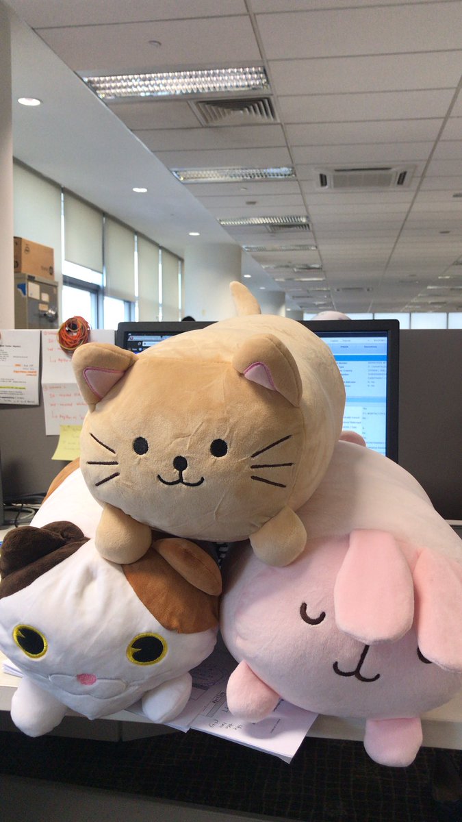 kaison stuffed animals