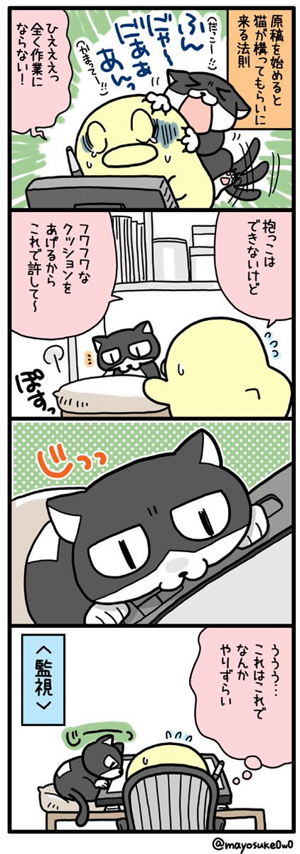 #今日のヒヨコ （第287話）

監視猫 