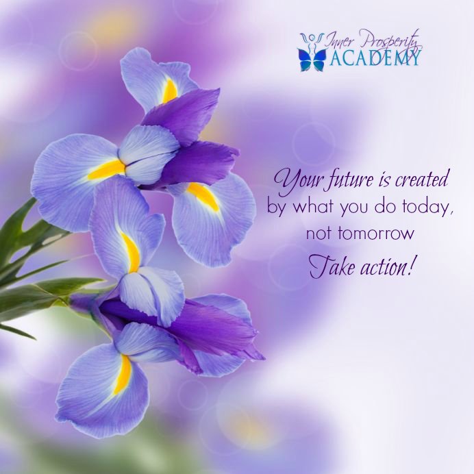 Patricia Young tweet media